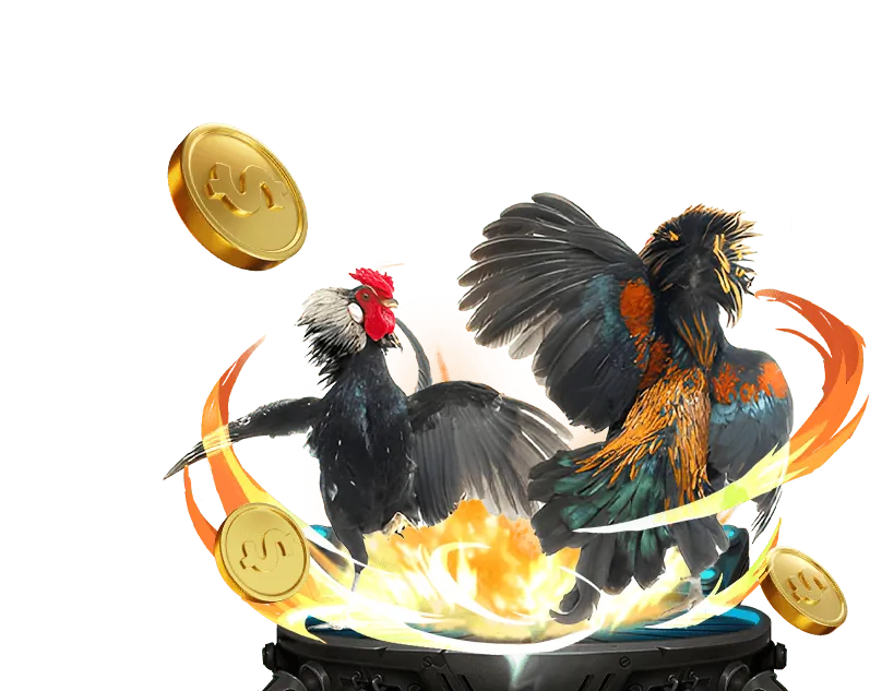 Kinh nghiệm cá cược đá gà hiệu quả từ chuyên gia Zobet